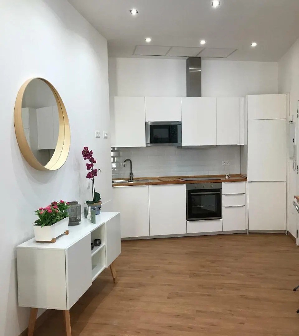 Luxury Apartment Malaga Center